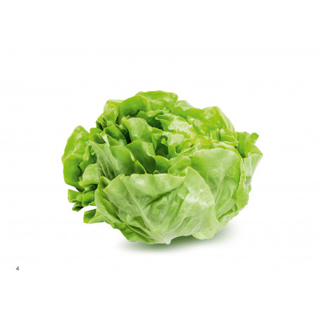 Basique - Tome 1- A table !