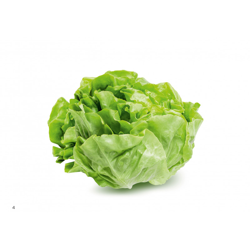 Basique - Tome 1- A table !