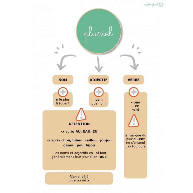 Féminin-masculin / singulier-pluriel