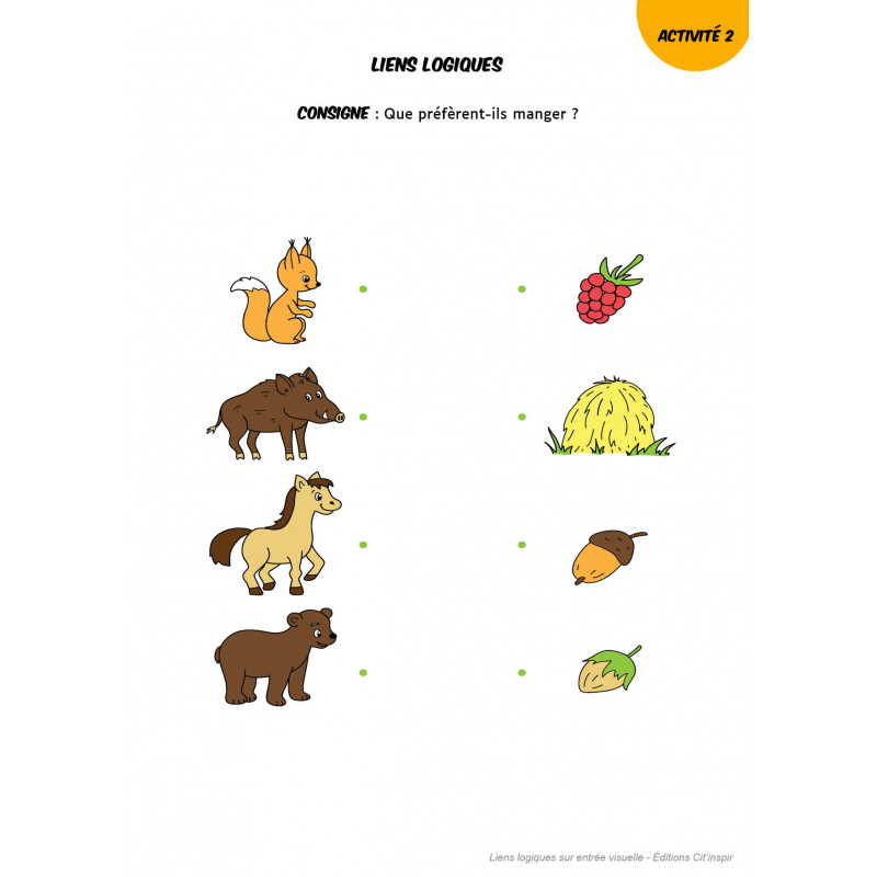 Liens logiques  sur entrée visuelle