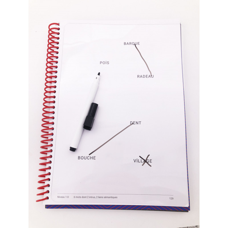 Lot de 5 feuilles transparente effaçables