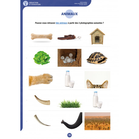 kit de fil en indice