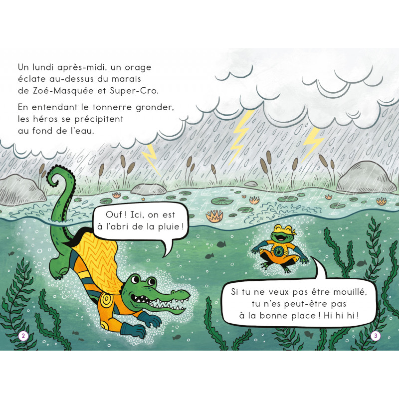 Une tornade à Amimoville