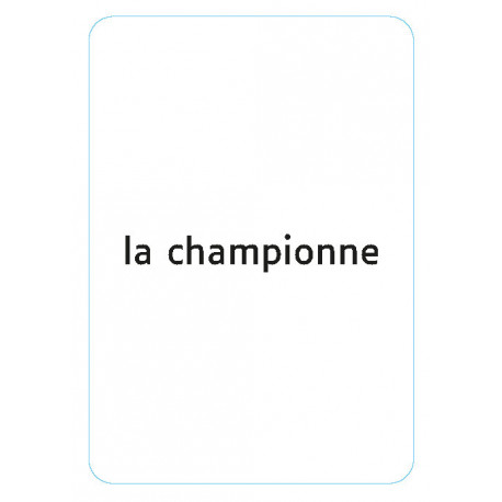 Morphosyntaxe : Flexions nominales en genre