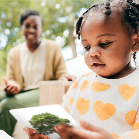 MIRA 5 - Photographies