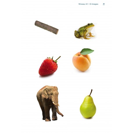 Des stratégies pour  mieux mémoriser