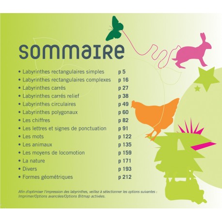 Labyrinthes CD et PDF
