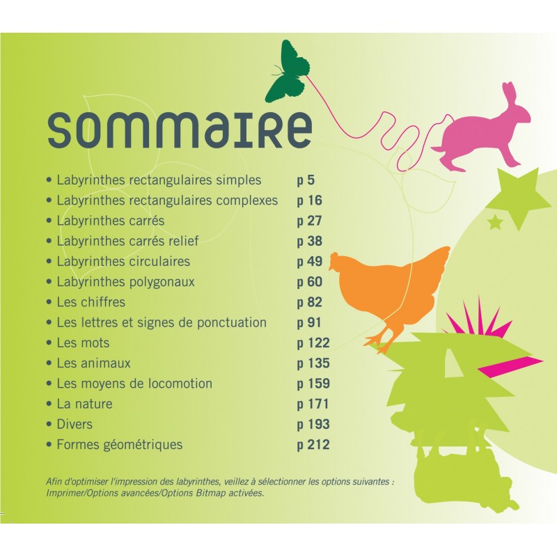 Labyrinthes CD et PDF