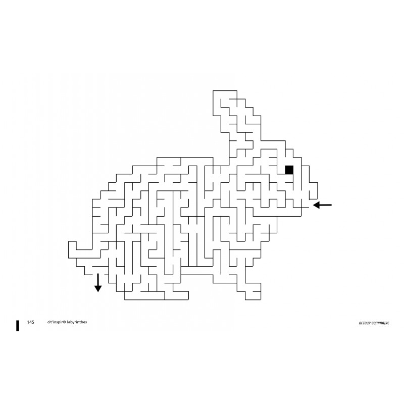 Labyrinthes CD et PDF